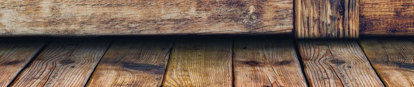 Dry Rot Treatment Dry Rot Treatment