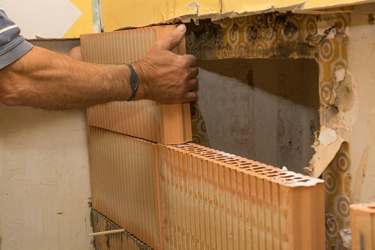 Home buyers guide to damp
