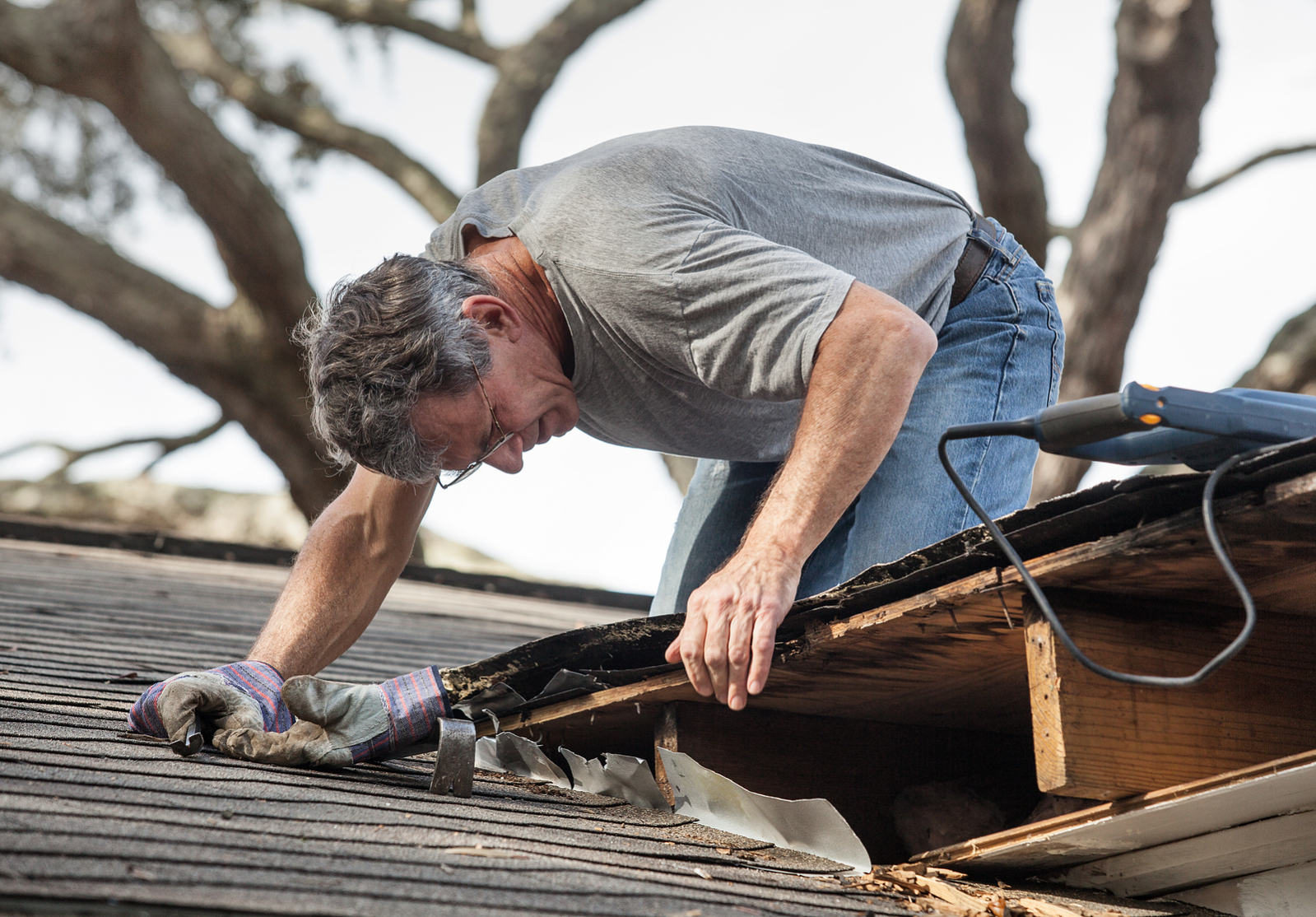 EXPERIENCED NEWCASTLE ROOFING SPECIALISTS