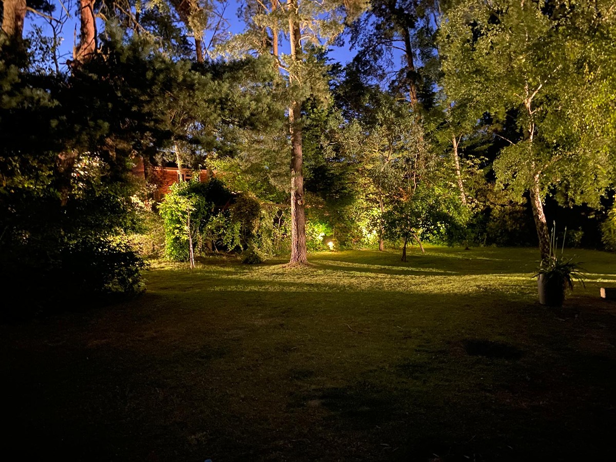 Electrician Near Me Woking, Guildford, Cobham