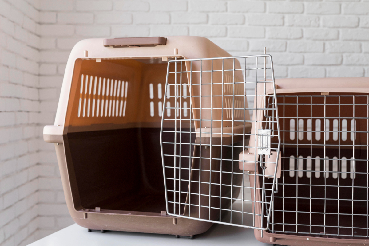 Dog Transport Service In Blackpool, Fylde, Lancashire