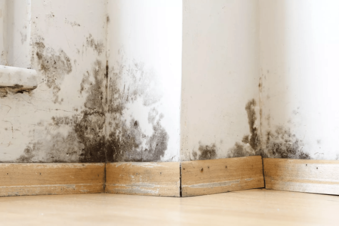 Damp in a domestic property - How Do I Know What Kind Of Damp I Have?