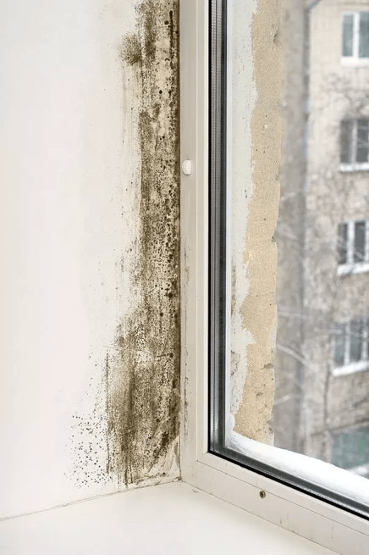 Damp from condensation - How Do I Know What Kind Of Damp I Have?