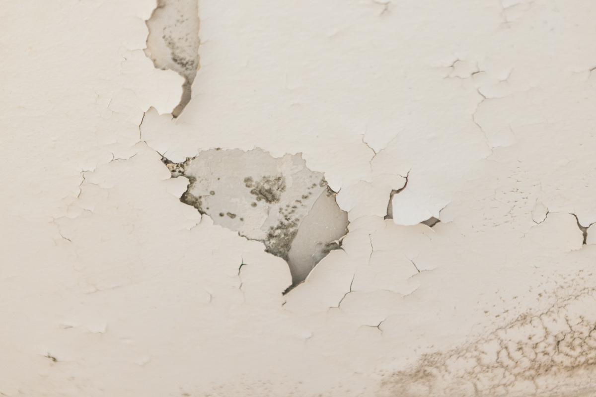 Structural Damage - What Problems Can Damp Cause A Building?