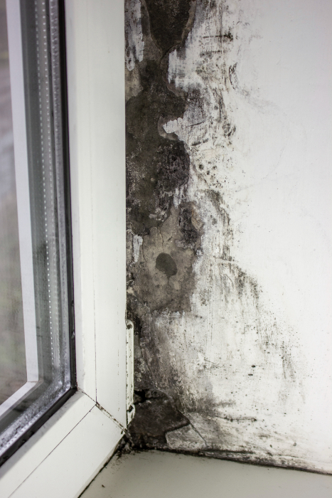Preventing Damp In Commercial Buildings