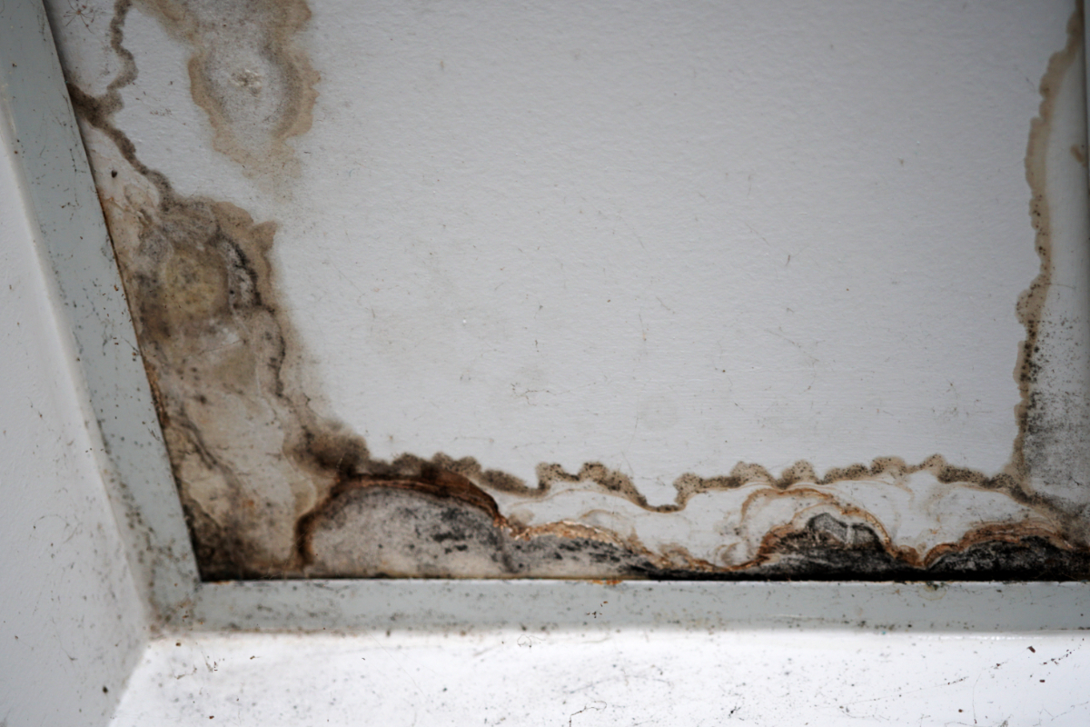 Damp Control In Windsor, Slough, Berkshire & Surrey