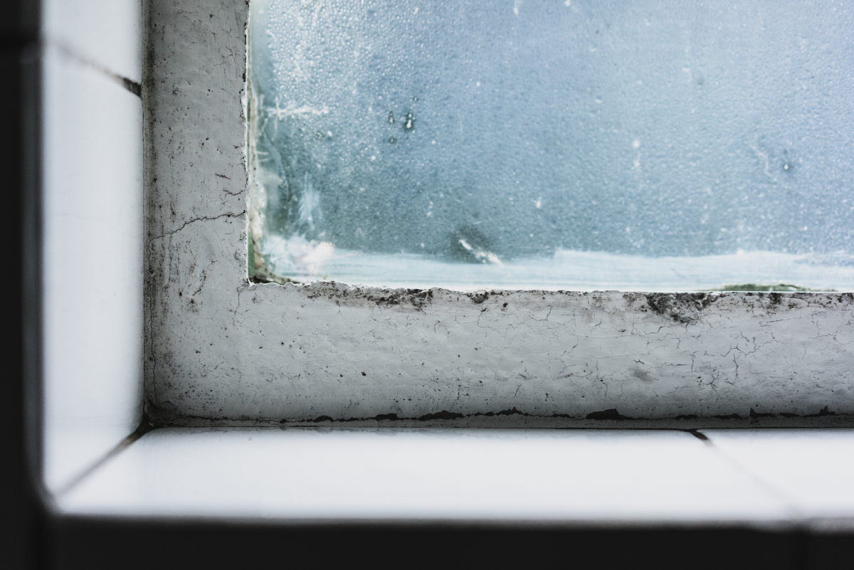 Dampness In Your Home - What You Need To Know