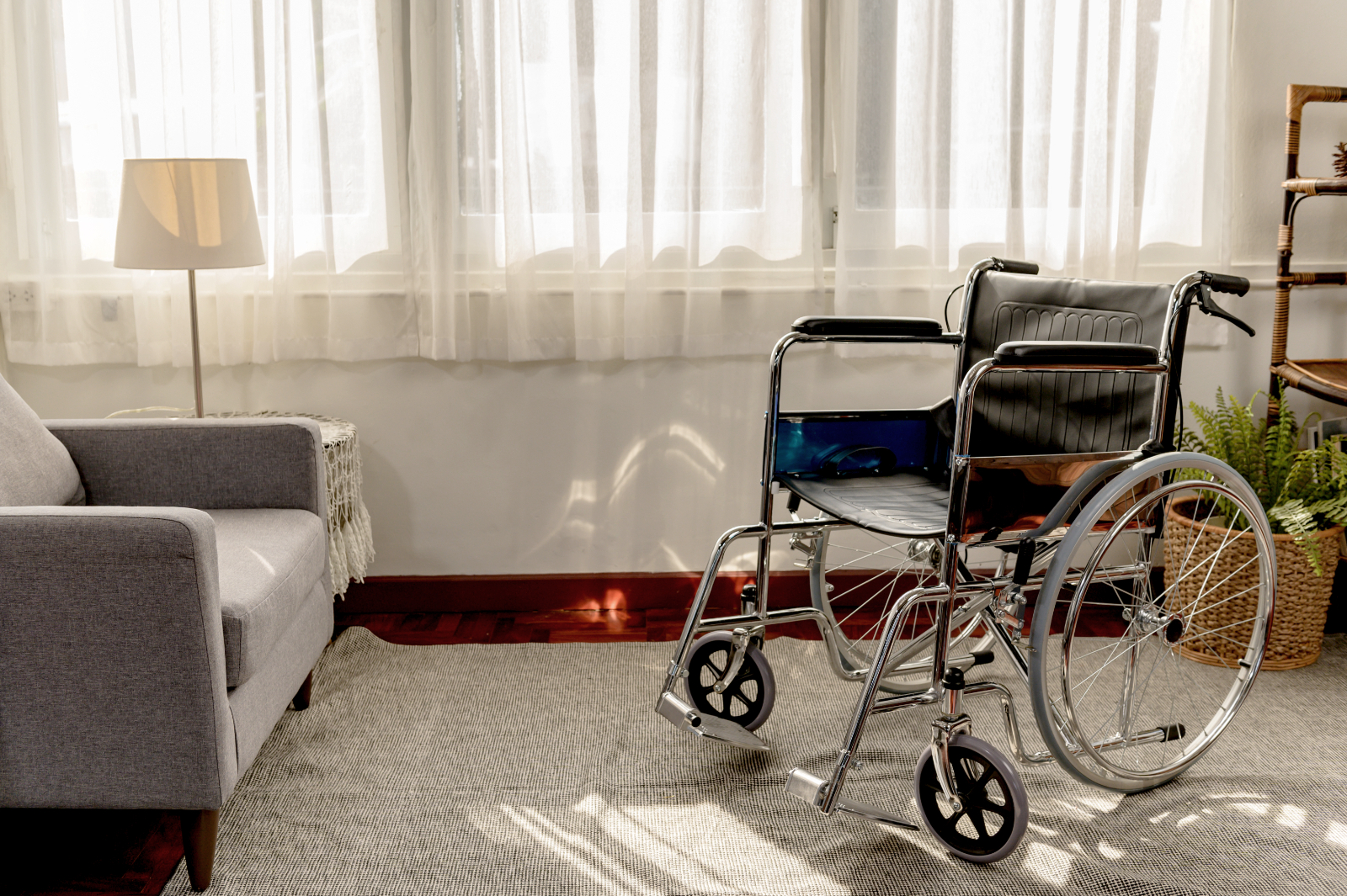Who Needs a Home Care Companion Who Needs a Home Care Companion