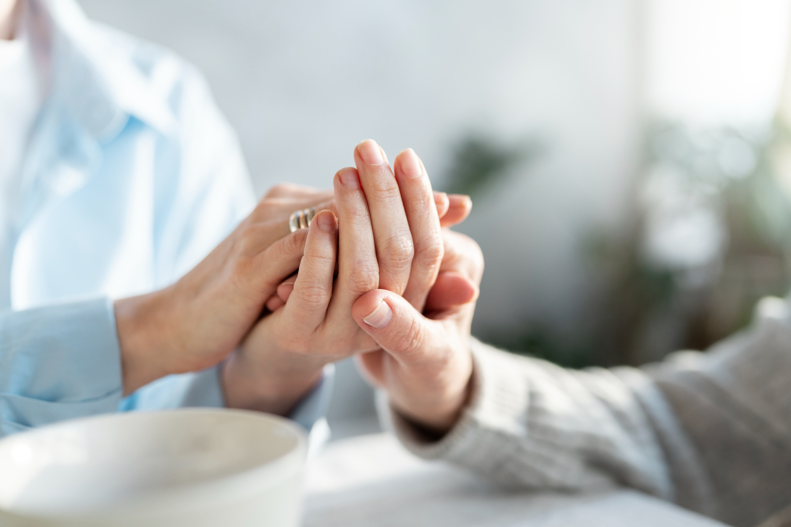 What Is the Difference Between a Companion and a Carer What Is the Difference Between a Companion and a Carer