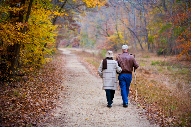 Dementia Treatment Lifestyle Changes