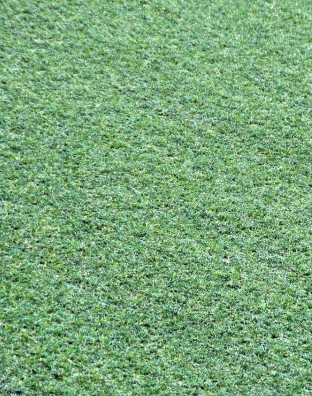 astro-turf examples of hardscapes