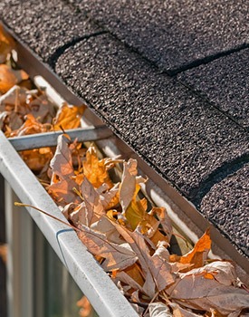 leaves clogging up a gutter - Lancashire - Common Causes of Blocked Drains -