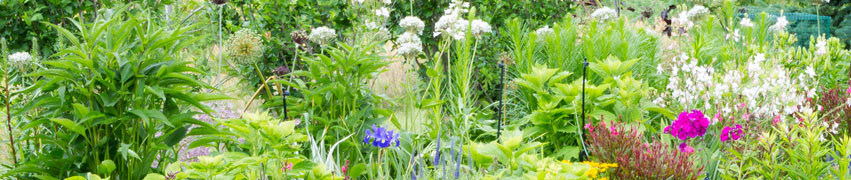 Adding a Pond Water Feature to Your Garden Adding a Pond Water Feature to Your Garden
