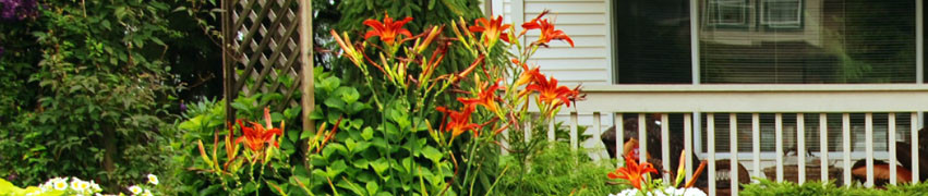 Lawn Maintenance Tips Lawn Maintenance Tips