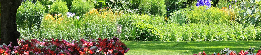 Lawn Maintenance Equipment Lawn Maintenance Equipment
