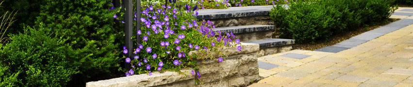 How to Landscape Your Garden How to Landscape Your Garden