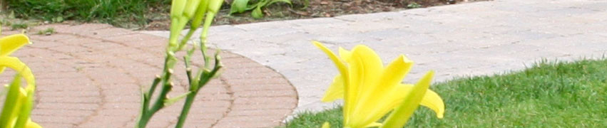 Block Paving for Driveways Block Paving for Driveways