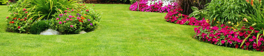 Installing Driveways and Patios Installing Driveways and Patios