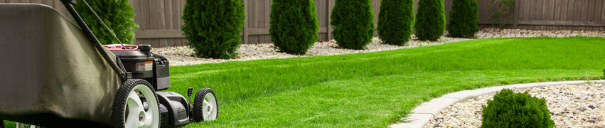 When to Weed and Feed Lawn When to Weed and Feed Lawn