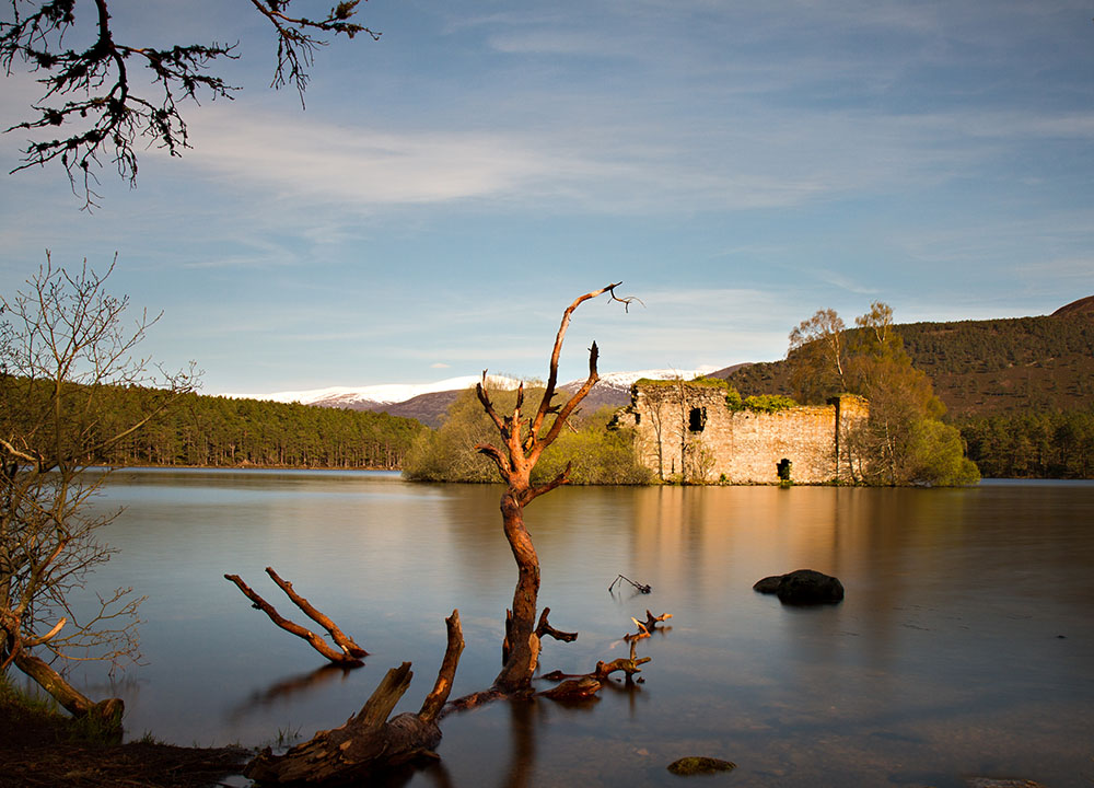 Aviemore Nature & Parks