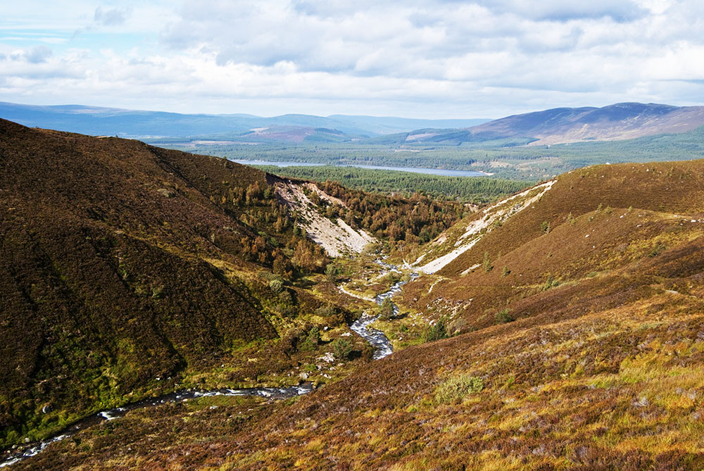Walking in Aviemore