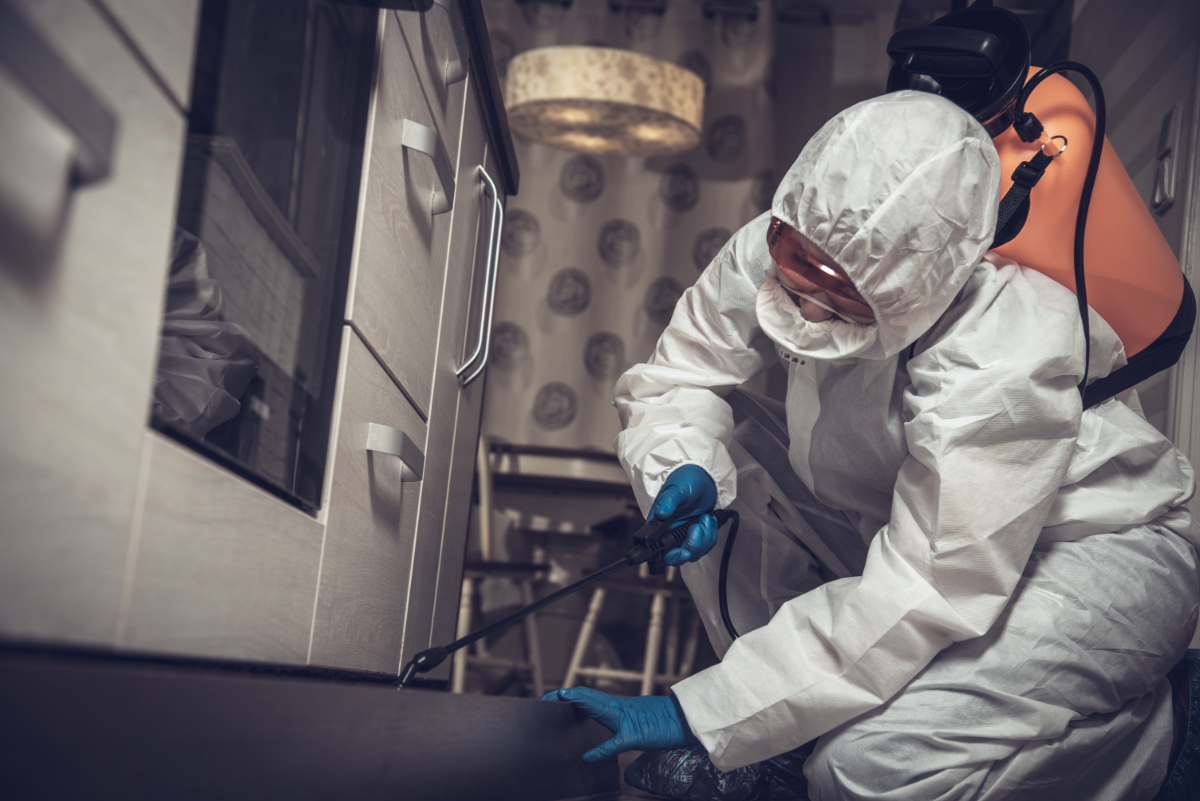 Can Pests Lead To A Business Being Closed