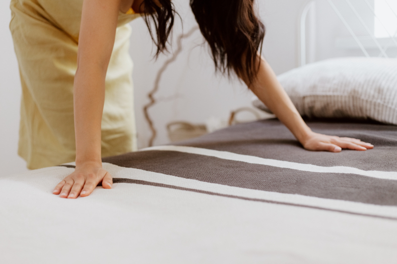 MAIN SYMPTOMS OF BED BUG BITES