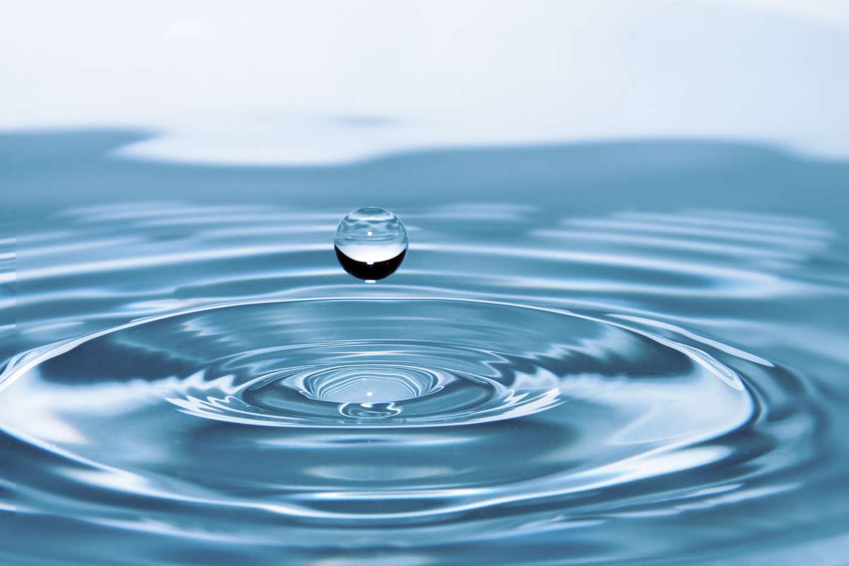 What Causes Legionella In Water Image