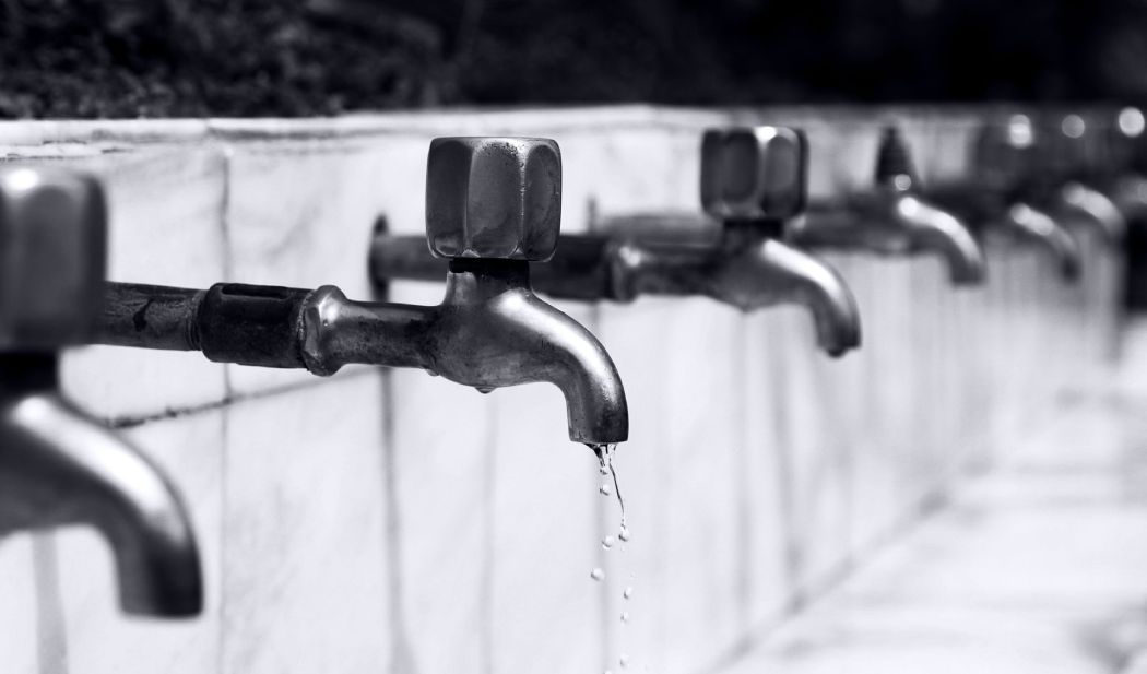 Where Does Legionella Come From Image