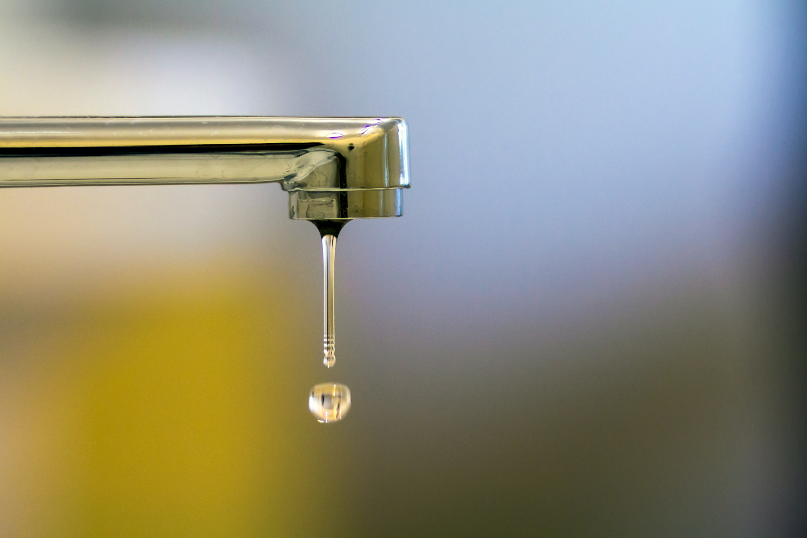 What Are The Most Common Plumbing Services? Local Leicestershire Plumber