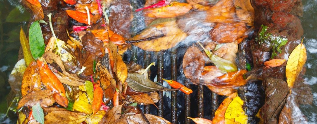 Causes Of Drain Blockages Image