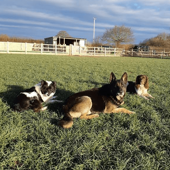 Advancing obedience