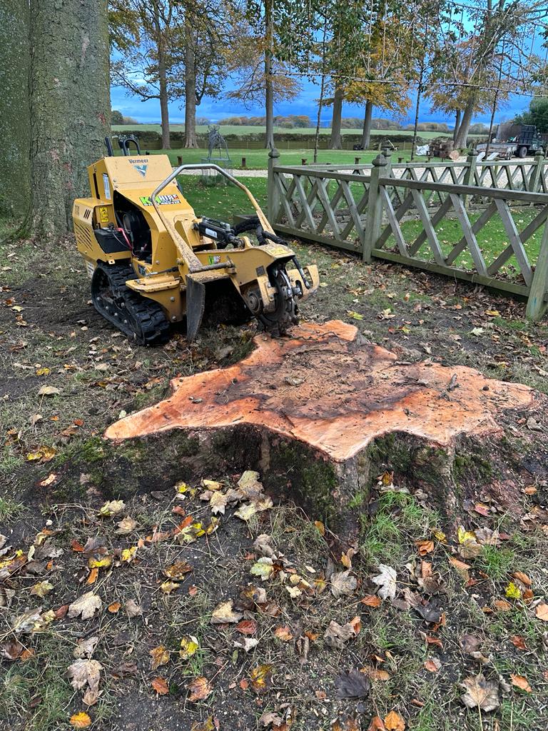 Tree Felling and Stump Grinding Preston, Lancashire, Cumbria