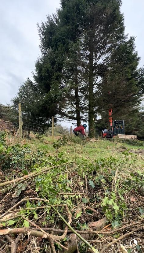 Site Clearance Preston, Lancashire, Cumbria