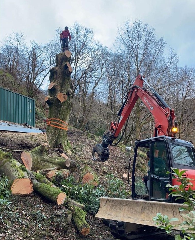 Shrub and Tree Removal Preston, Lancashire, Cumbria