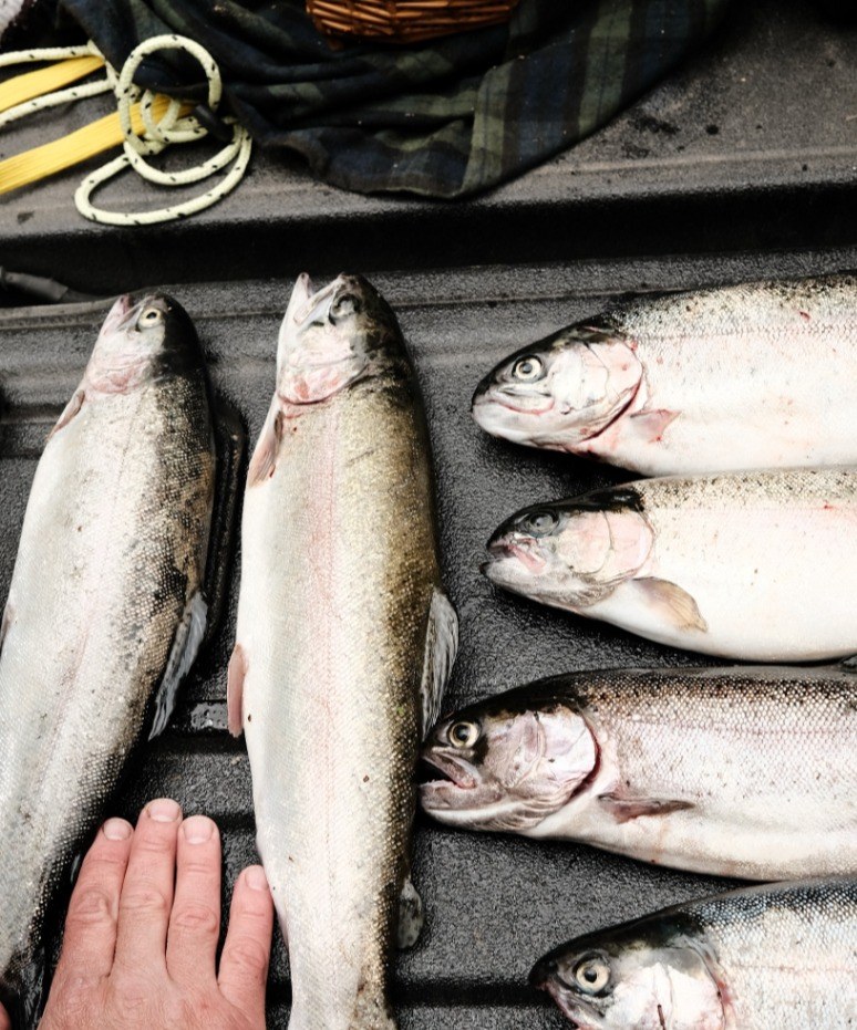 What Do Beginners Need To Know About Sea Fishing UK