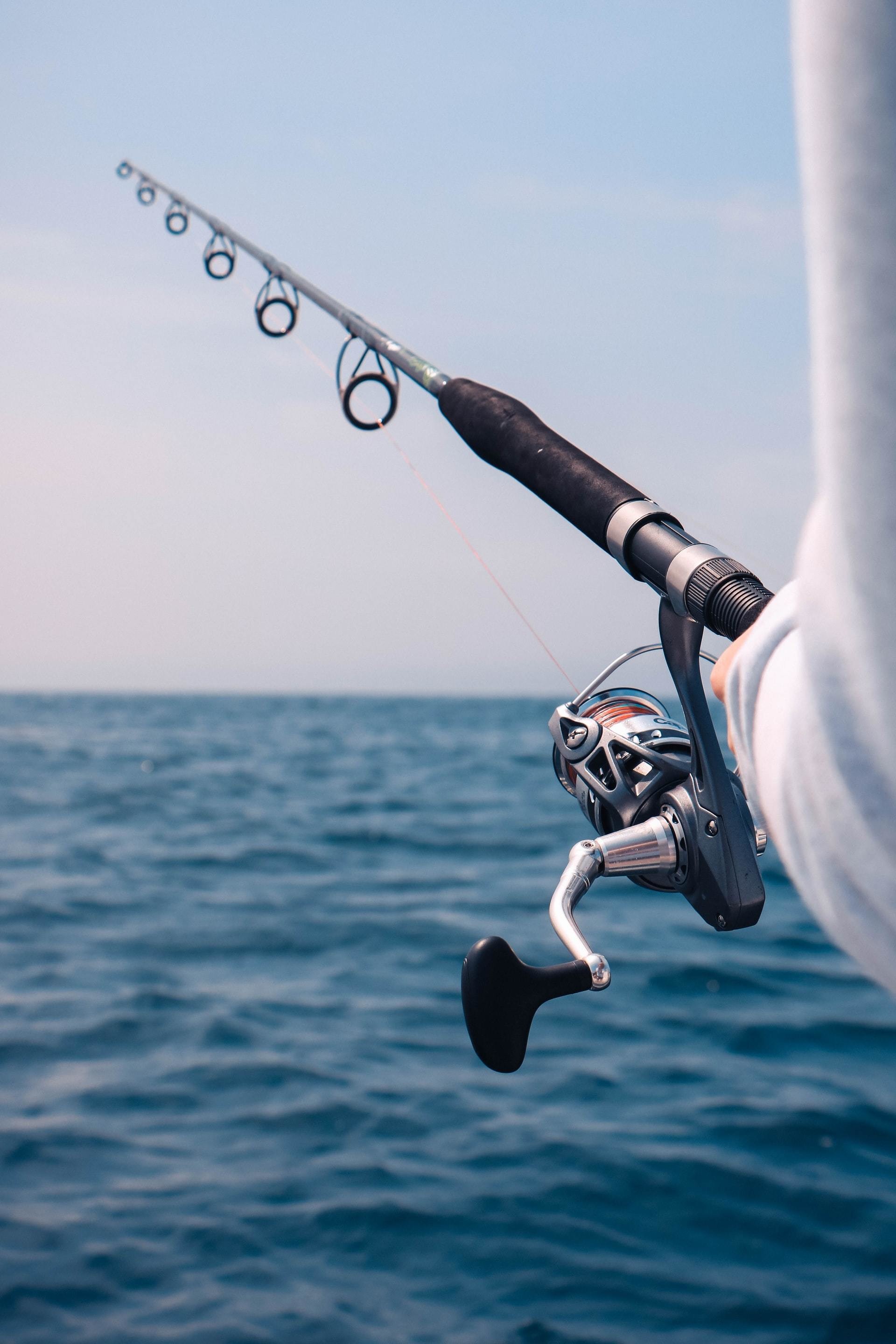 EQUIPMENT FOR MACKEREL FISHING