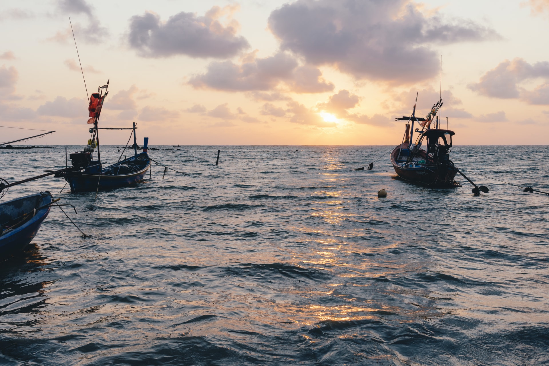 How To Fish For Mackerel Image
