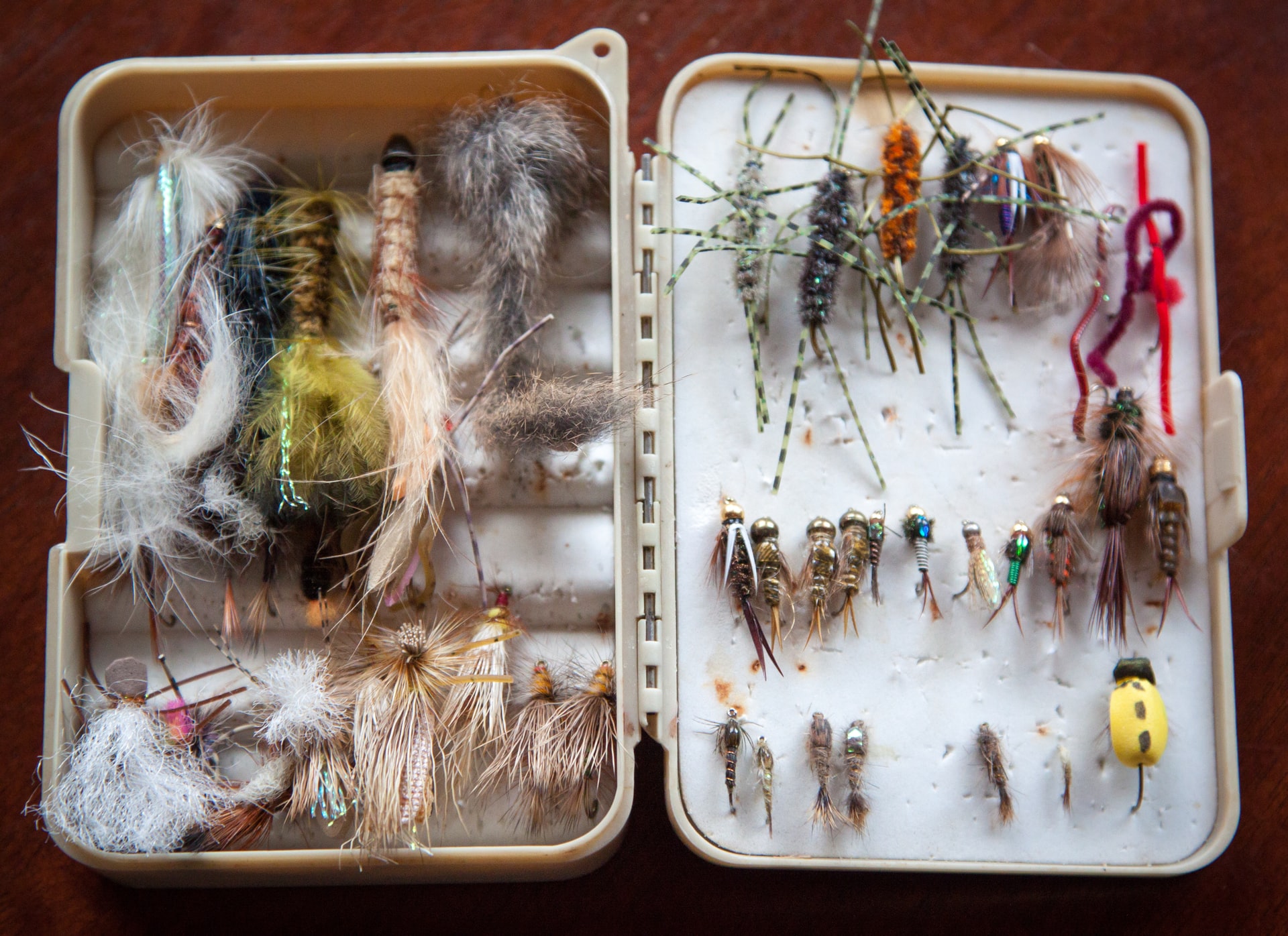WHAT SHOULD GO INSIDE MY FISHING TACKLE BOX?