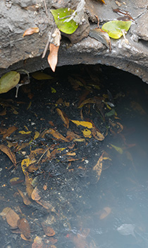 open drain with water