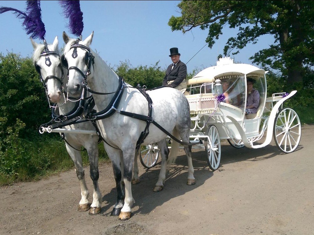 Traditional Horse-drawn Prom Coaches