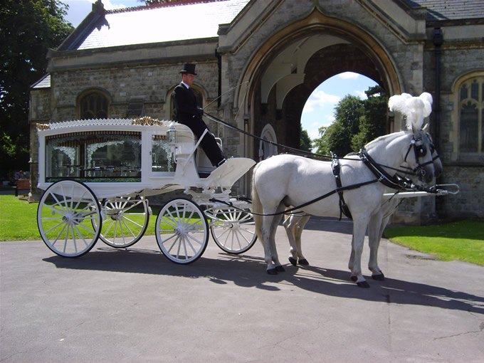 Wedding Horse & Carriage Ealing