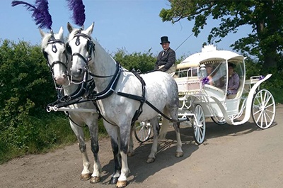 Why Choose A Horse And Carriage For A Wedding