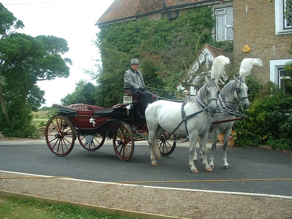 horse and carriage wedding Essex and London