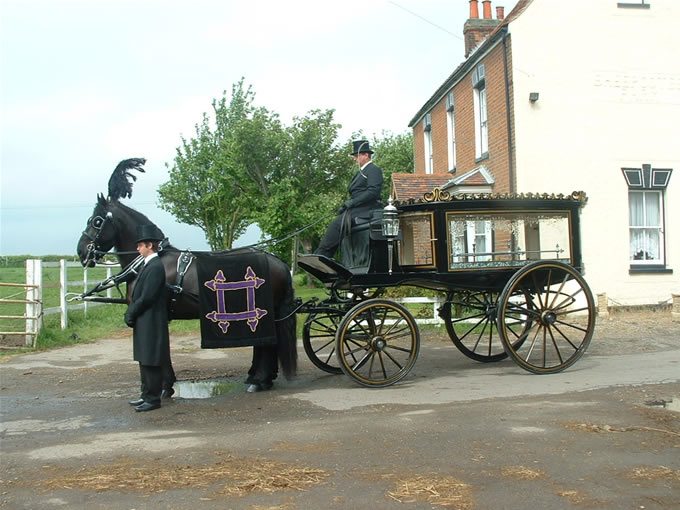 funeral horse drawn carriage