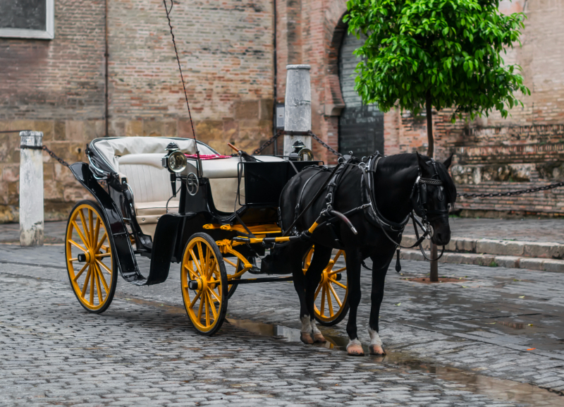 Ealing Prom Night Horse Drawn Carriage Hire