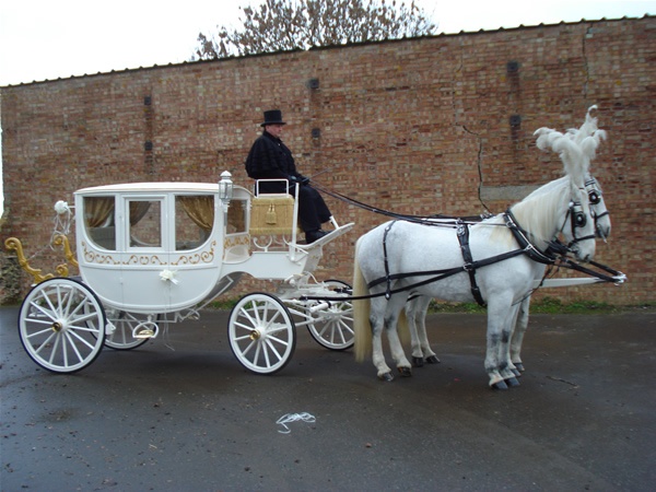 Wedding Horse Drawn Carriage