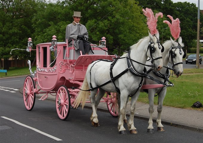 Horse Drawn Carriage Essex