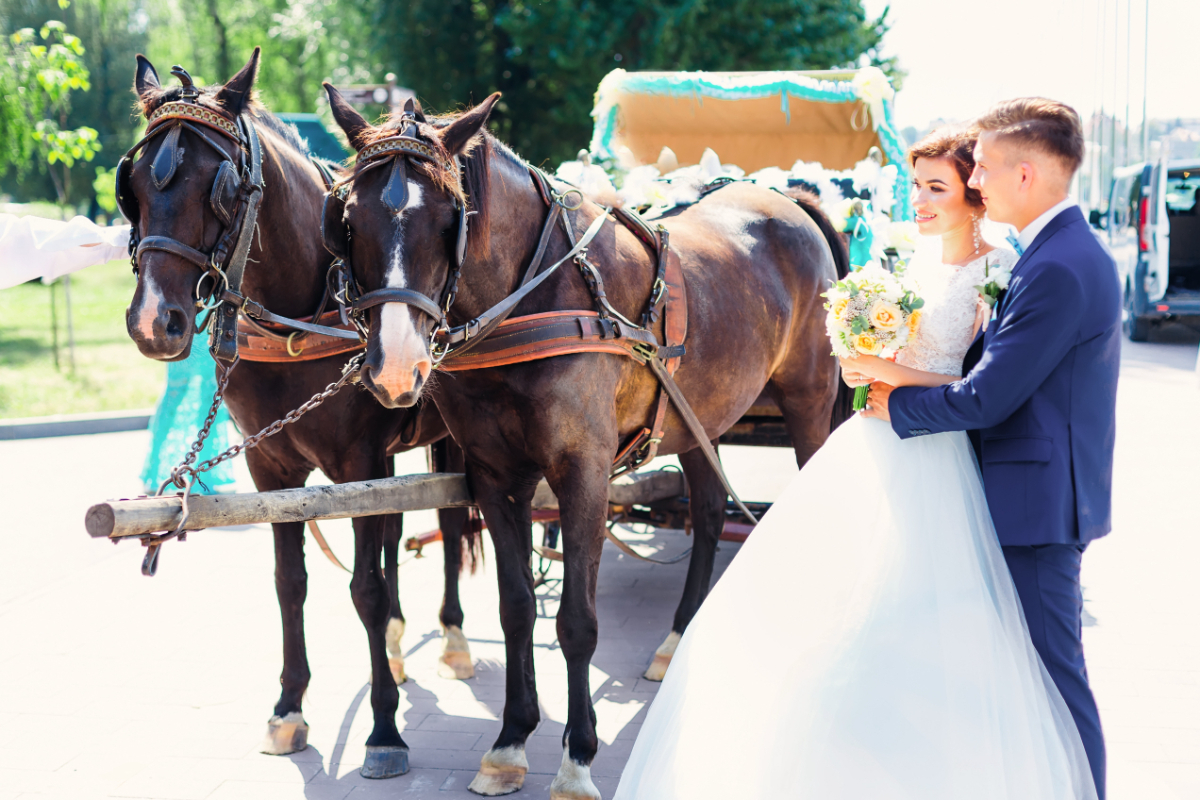 Horse Drawn Carriages in Ealing | Horse And Carriage Hire Ealing