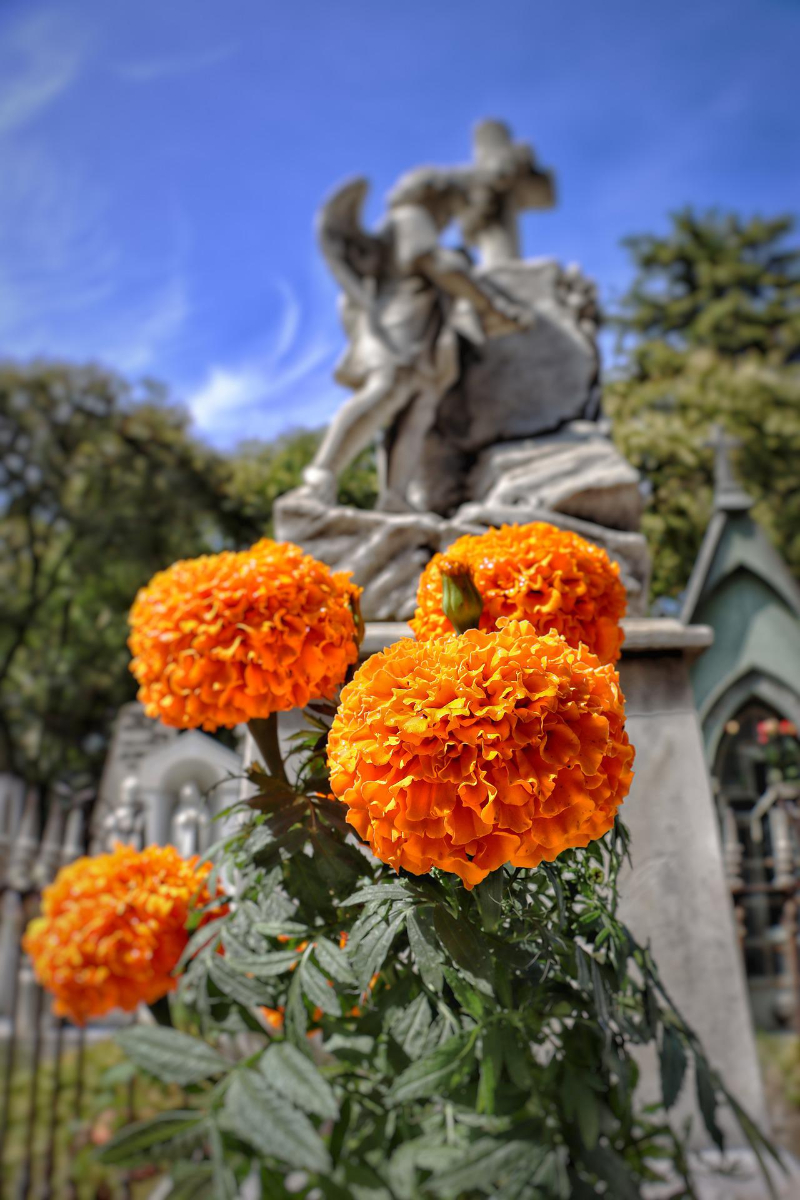 How Do I Find Out If Someone Has A Funeral Plan?